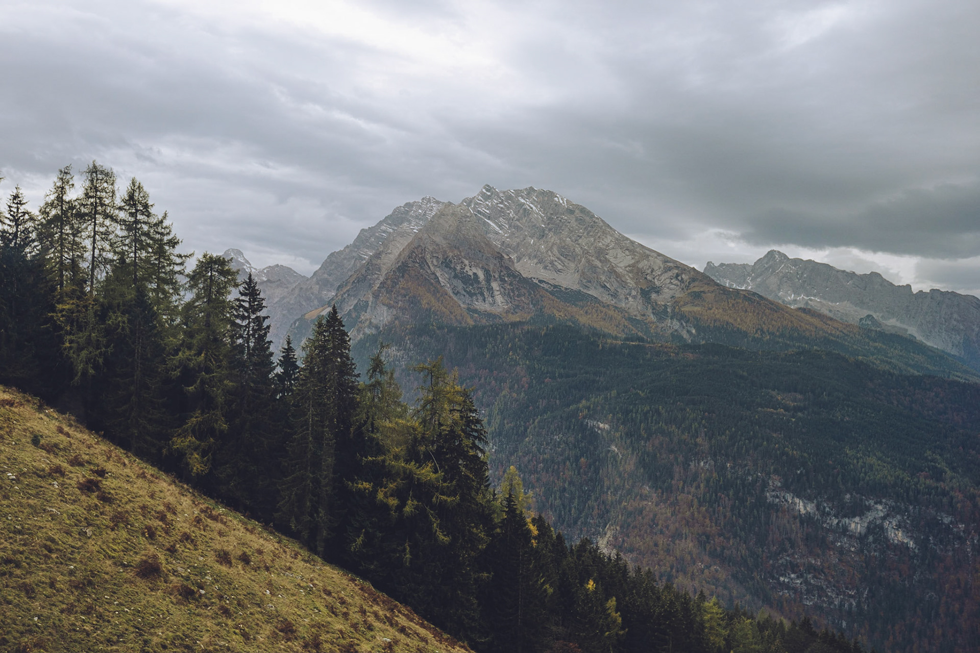 Vy från liften på väg upp  på berget Jenner