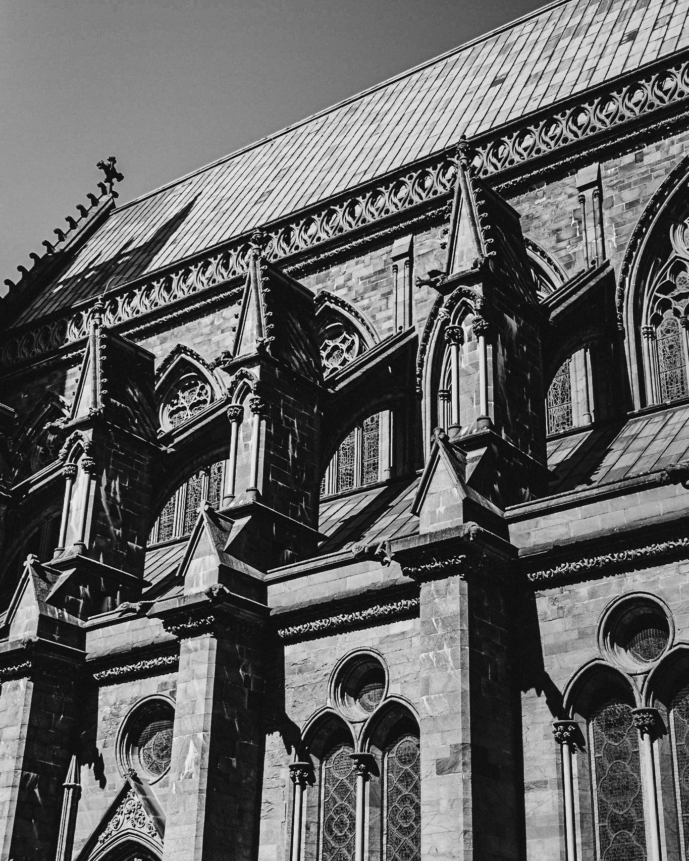 The details are incredible,