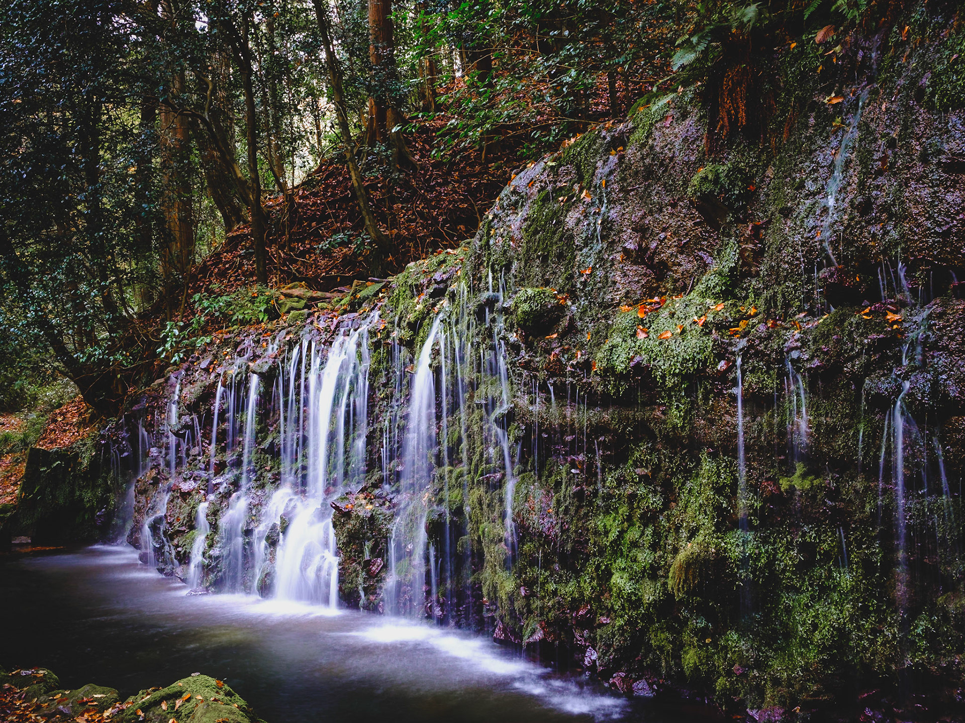 In the mountains in Hakone there are some beatuiful waterfalls.