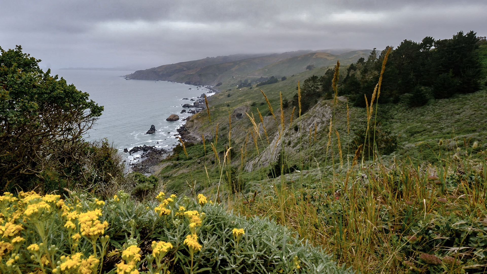 Overlook over Muir Beach