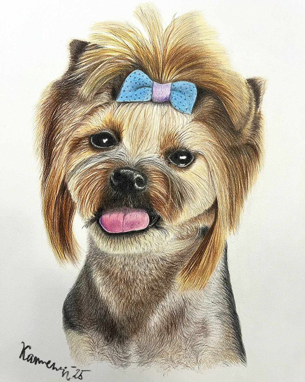 Sarah-Yorkie Girl - 35x50cm - Color Pencils