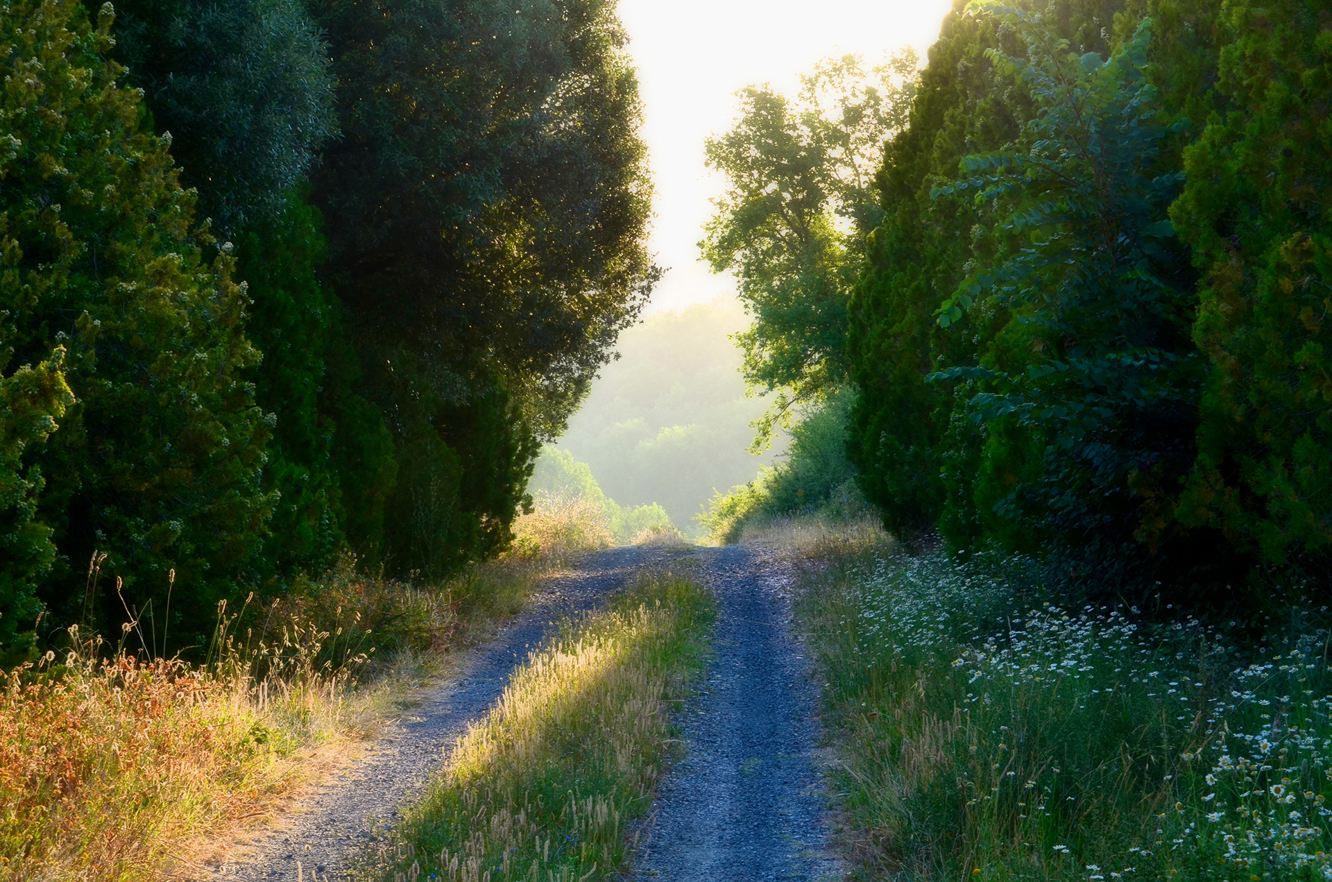 I wonder where that road goes...