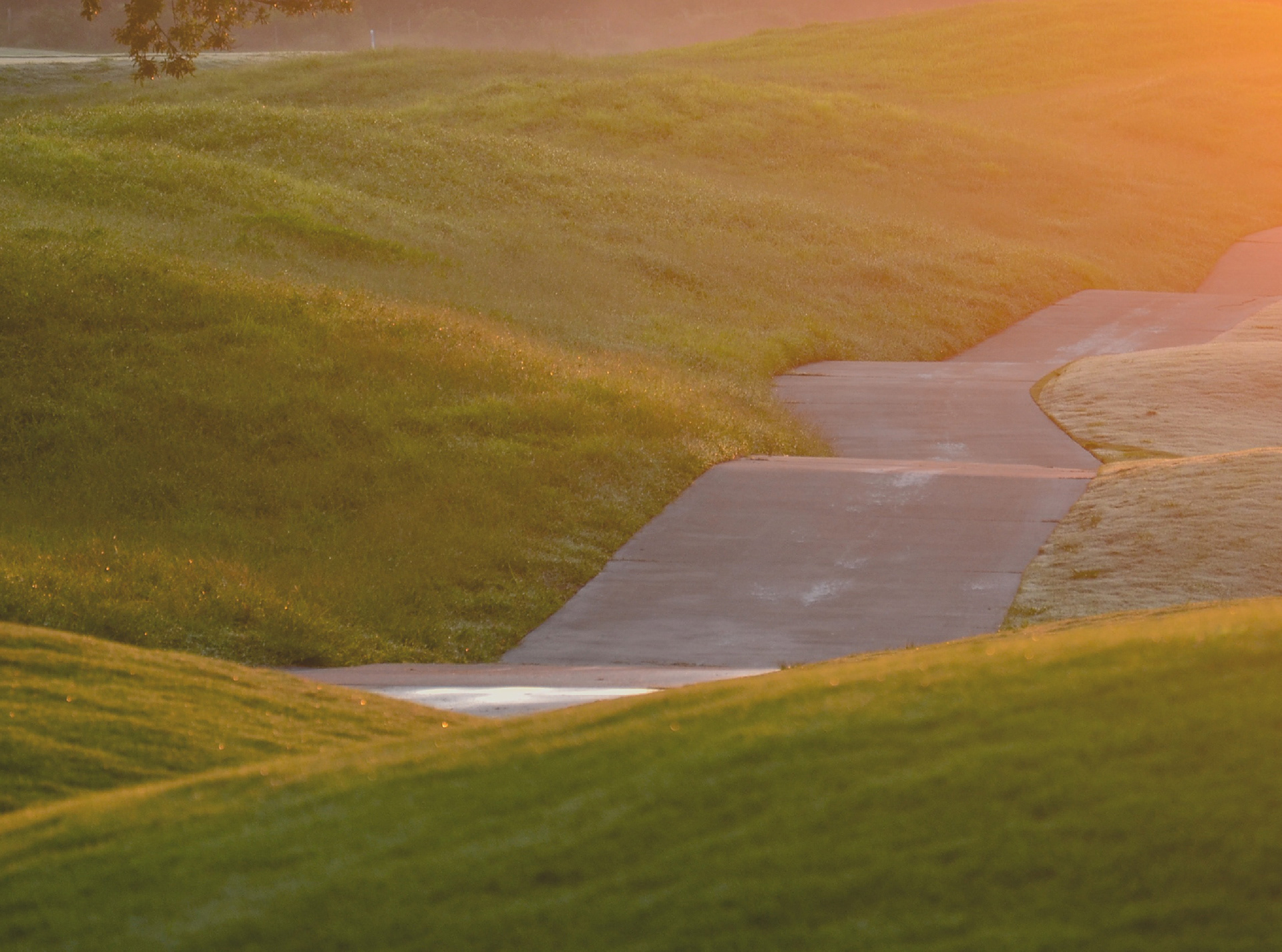 Morning Dew on Cart Path