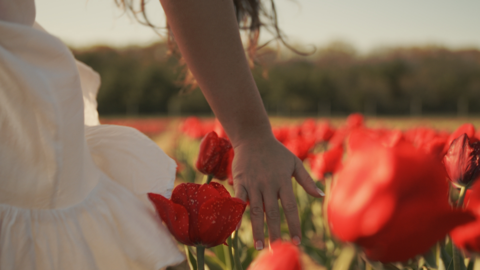 "MARA" - Kyle Althenn (2024)