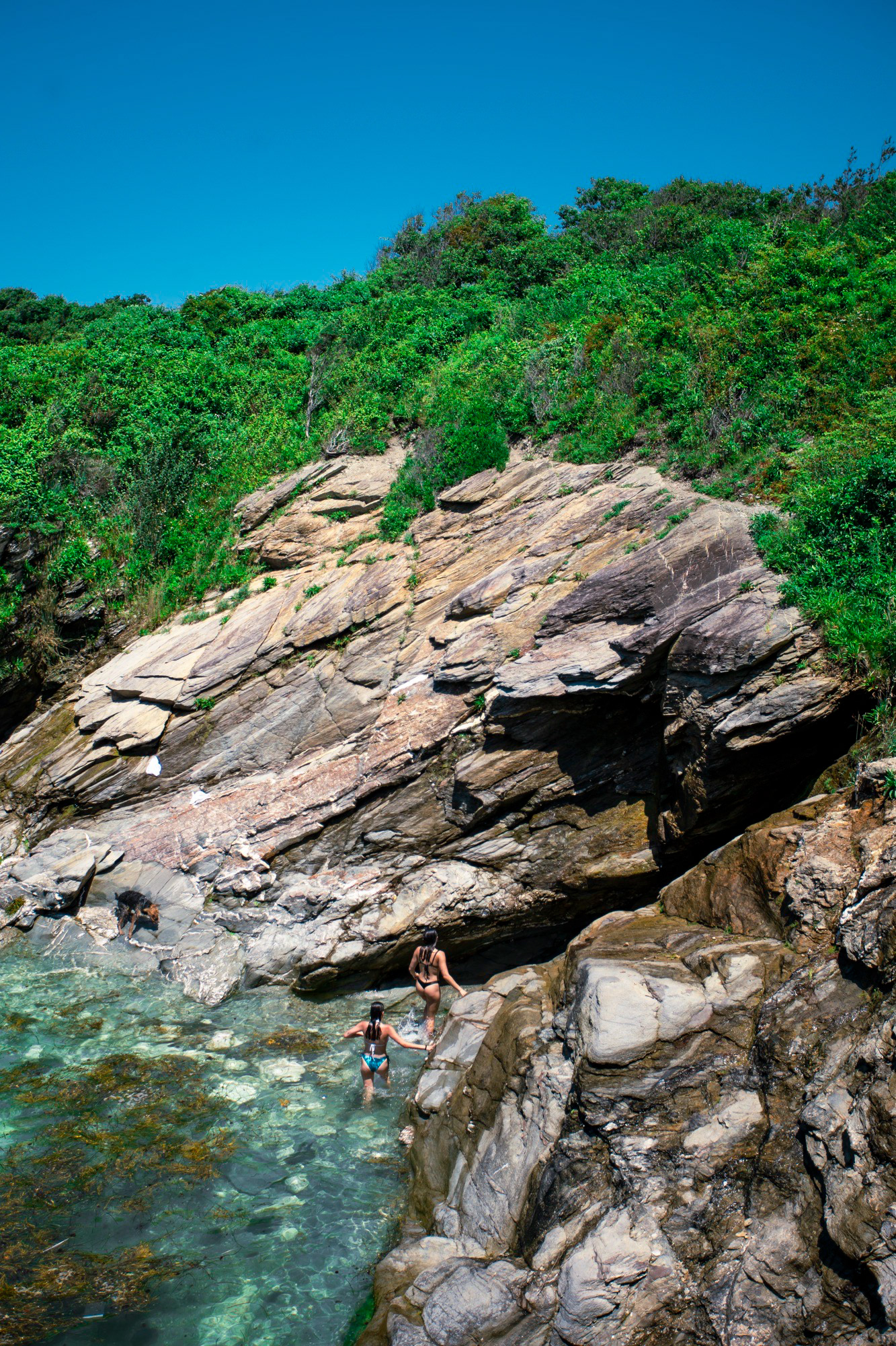 Jules and Ava wander