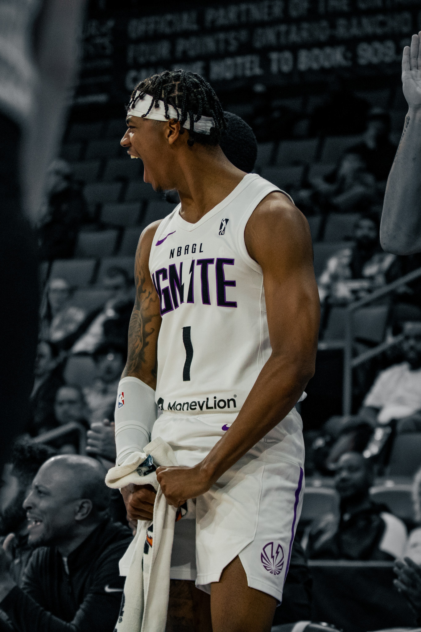 IGNITE ALUM Dink Pate (Mexico City Capitanes)