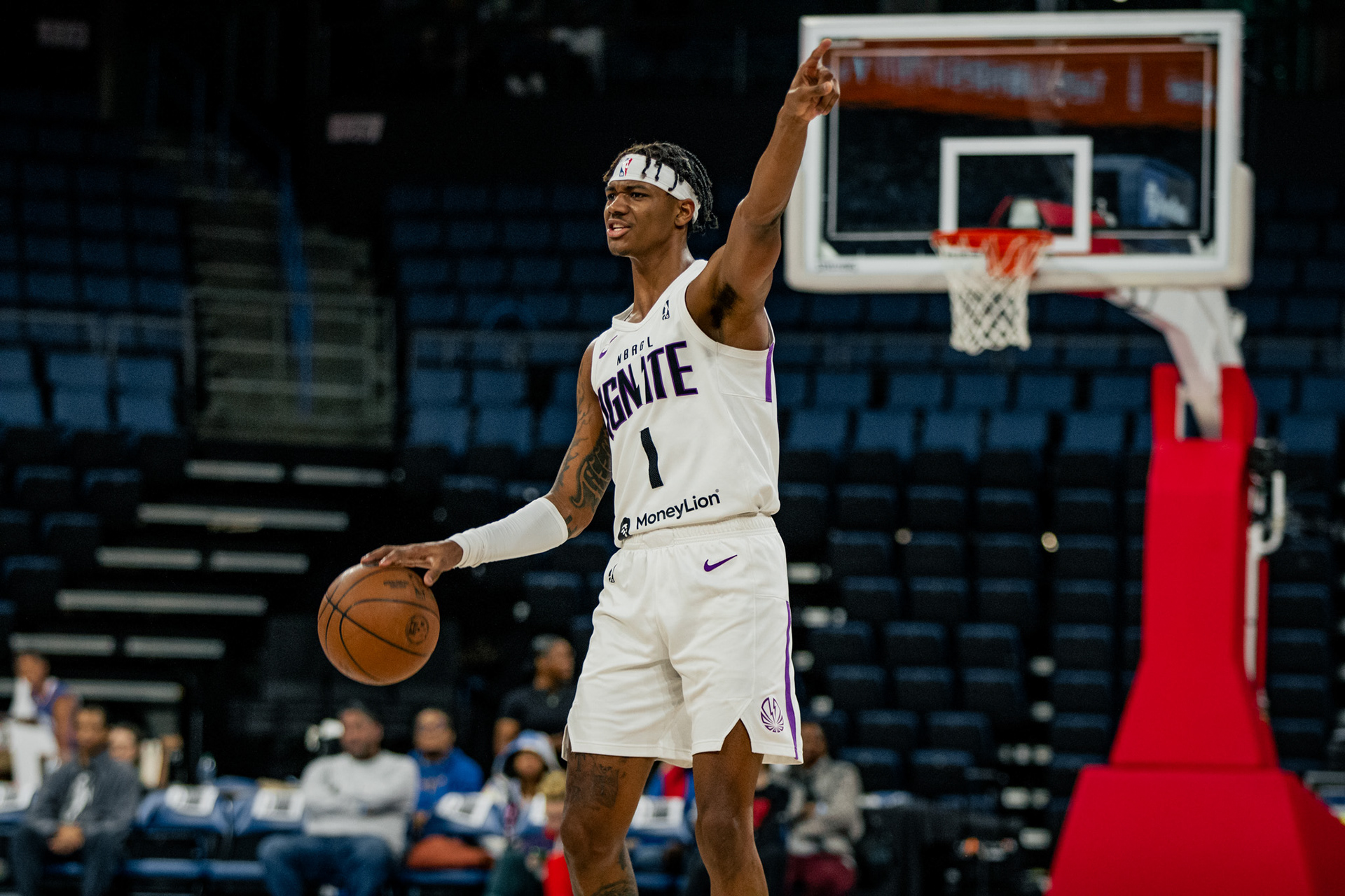 IGNITE ALUM Dink Pate (Mexico City Capitanes)