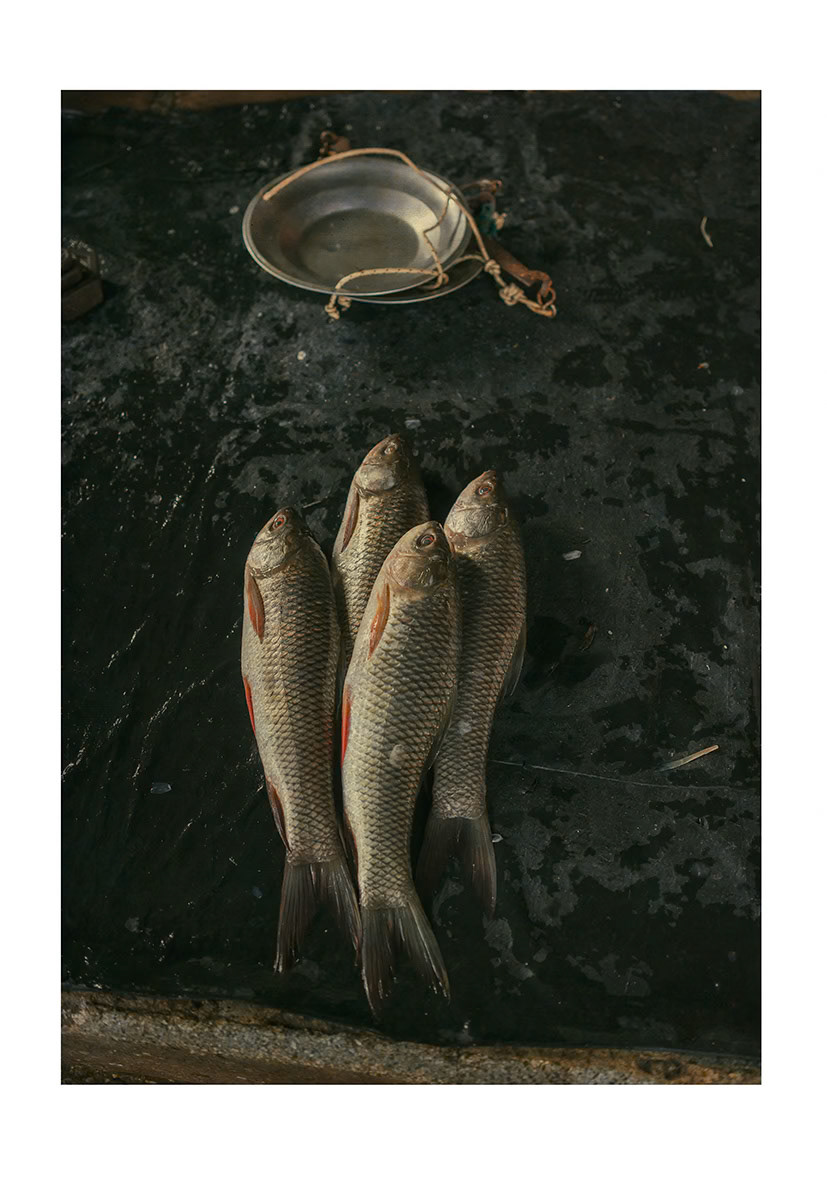 fish market in varanasi