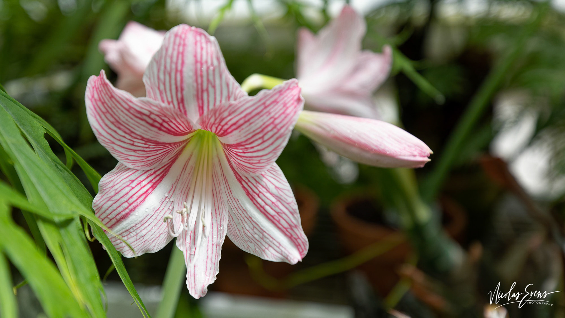 San Francisco, CA, US