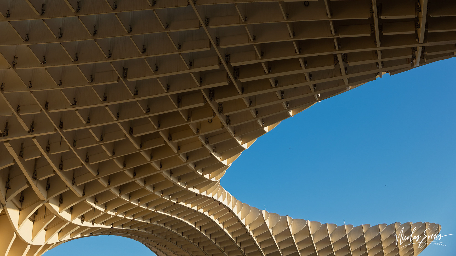 Setas Sevilla, Sevilla, SP