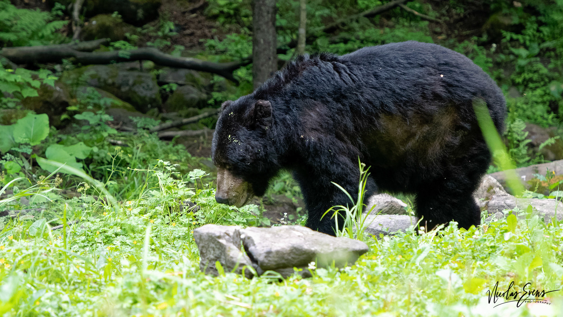 Saint-Jean-Des-Piles, QC, CA