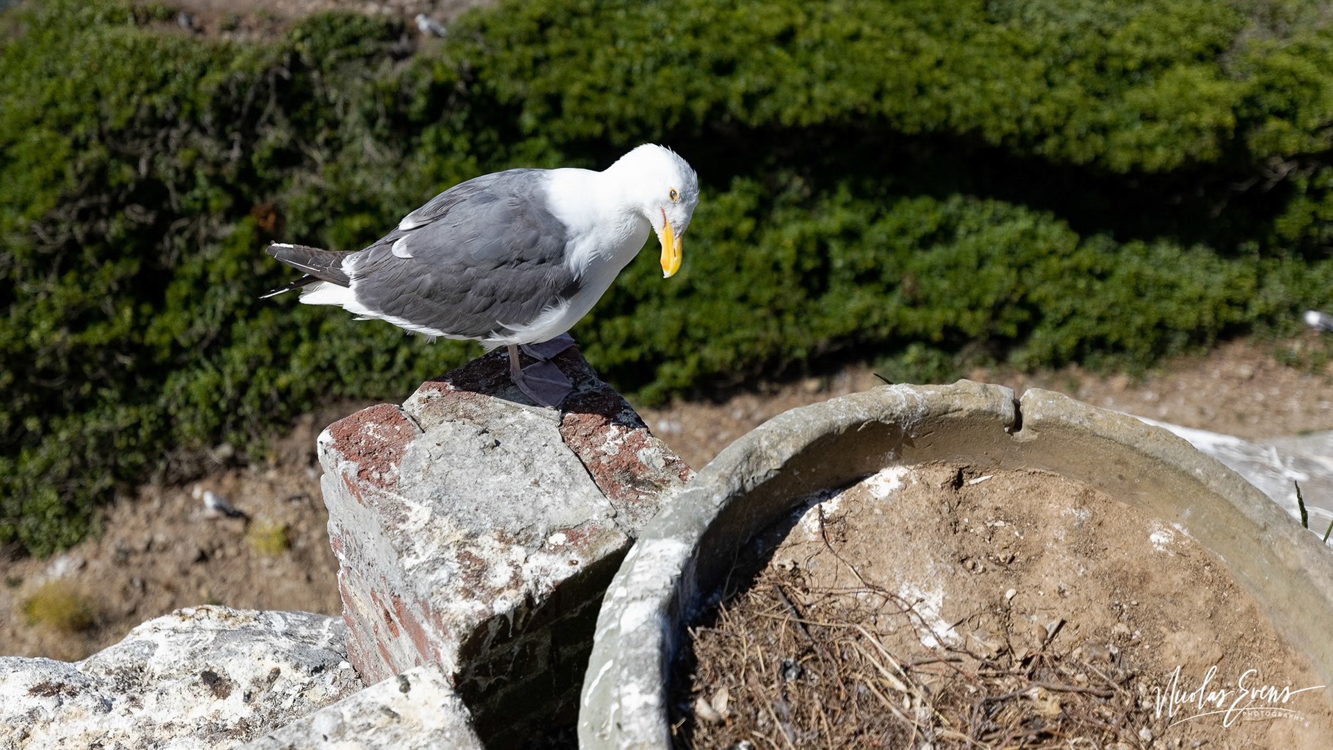 San Francisco, CA, US