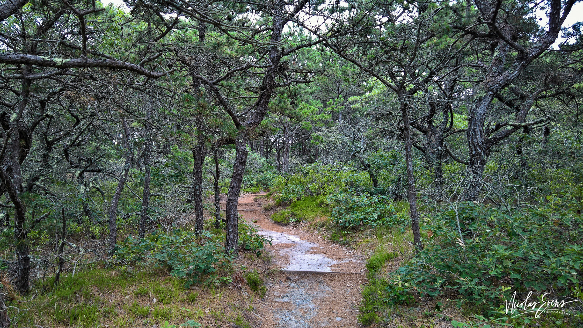 Cape Cod Rail Trail, MA, US