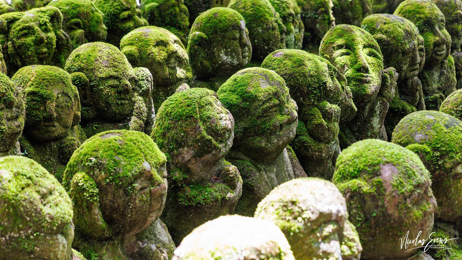 Kyoto, JP