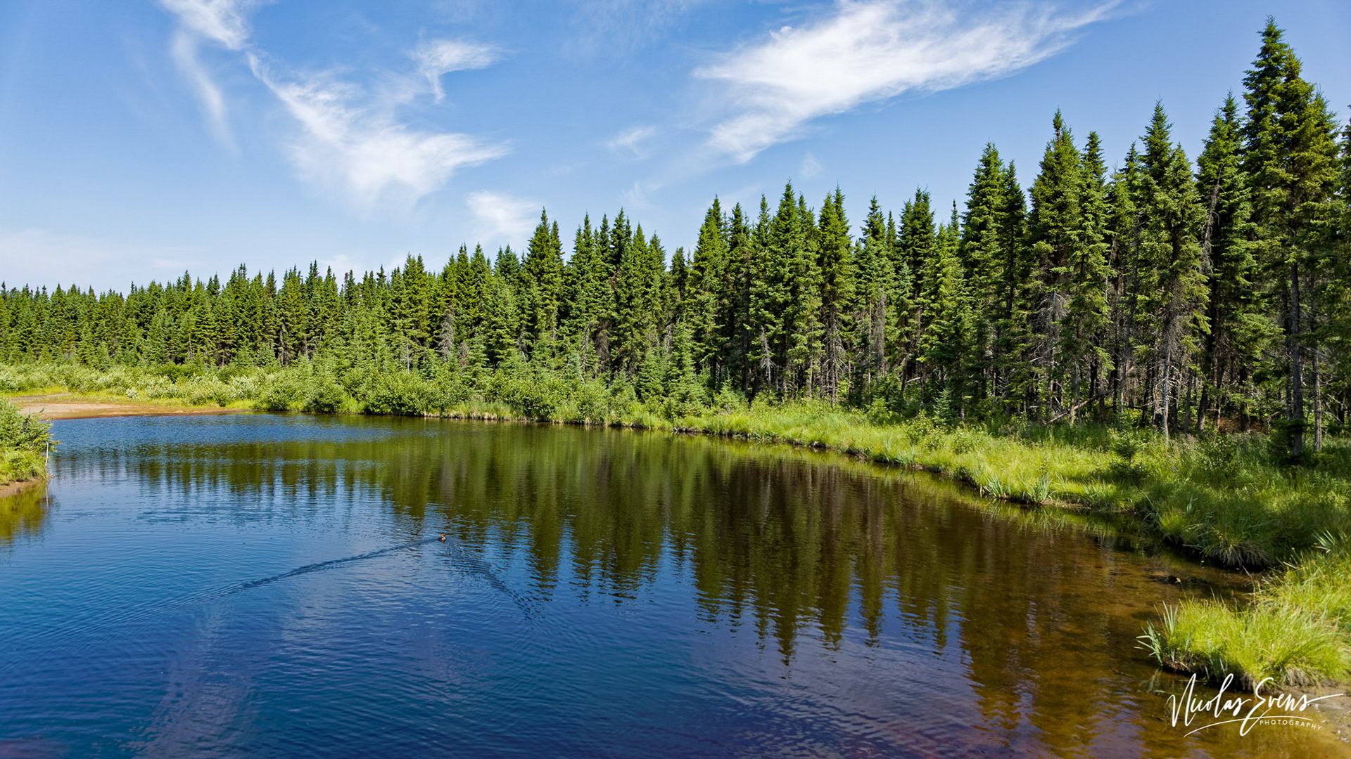 Saint-Félicien, QC, CA