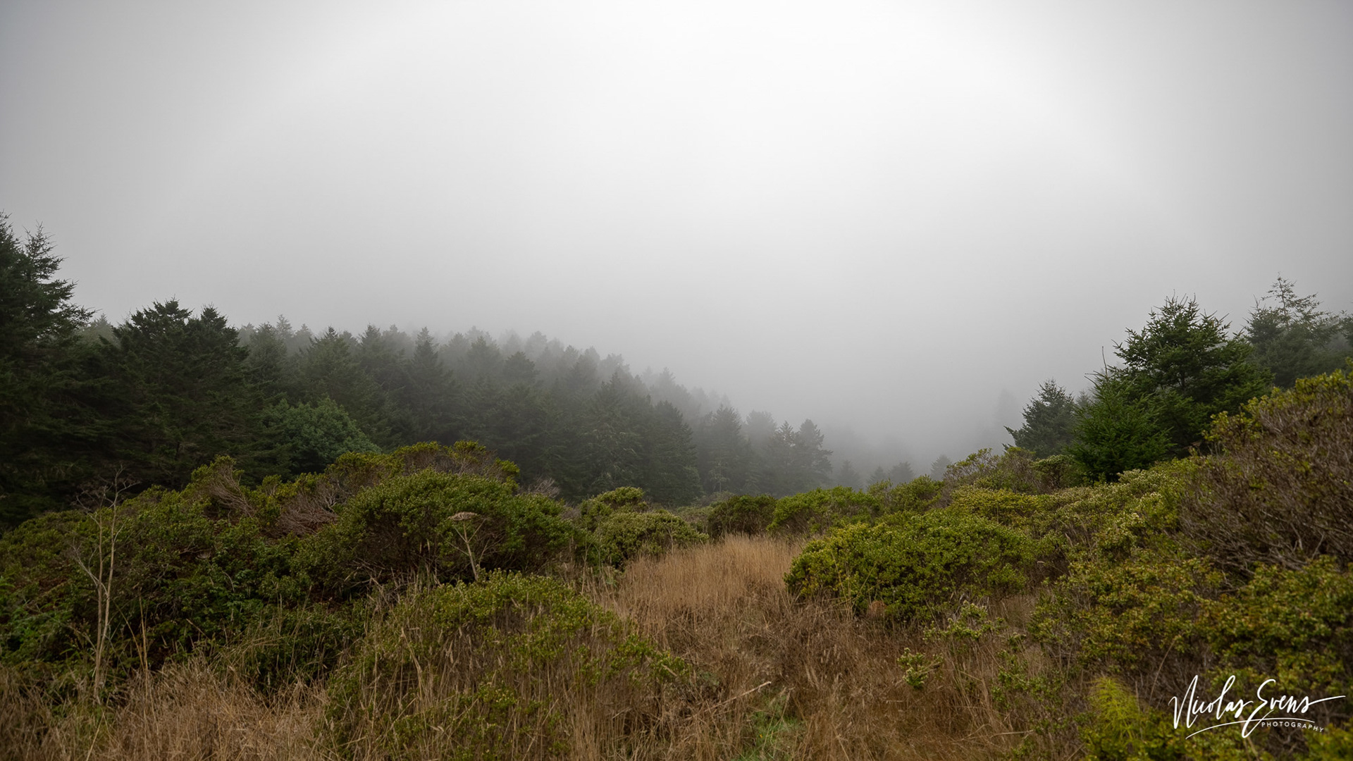 Point Reyes National Seashore, CA, US