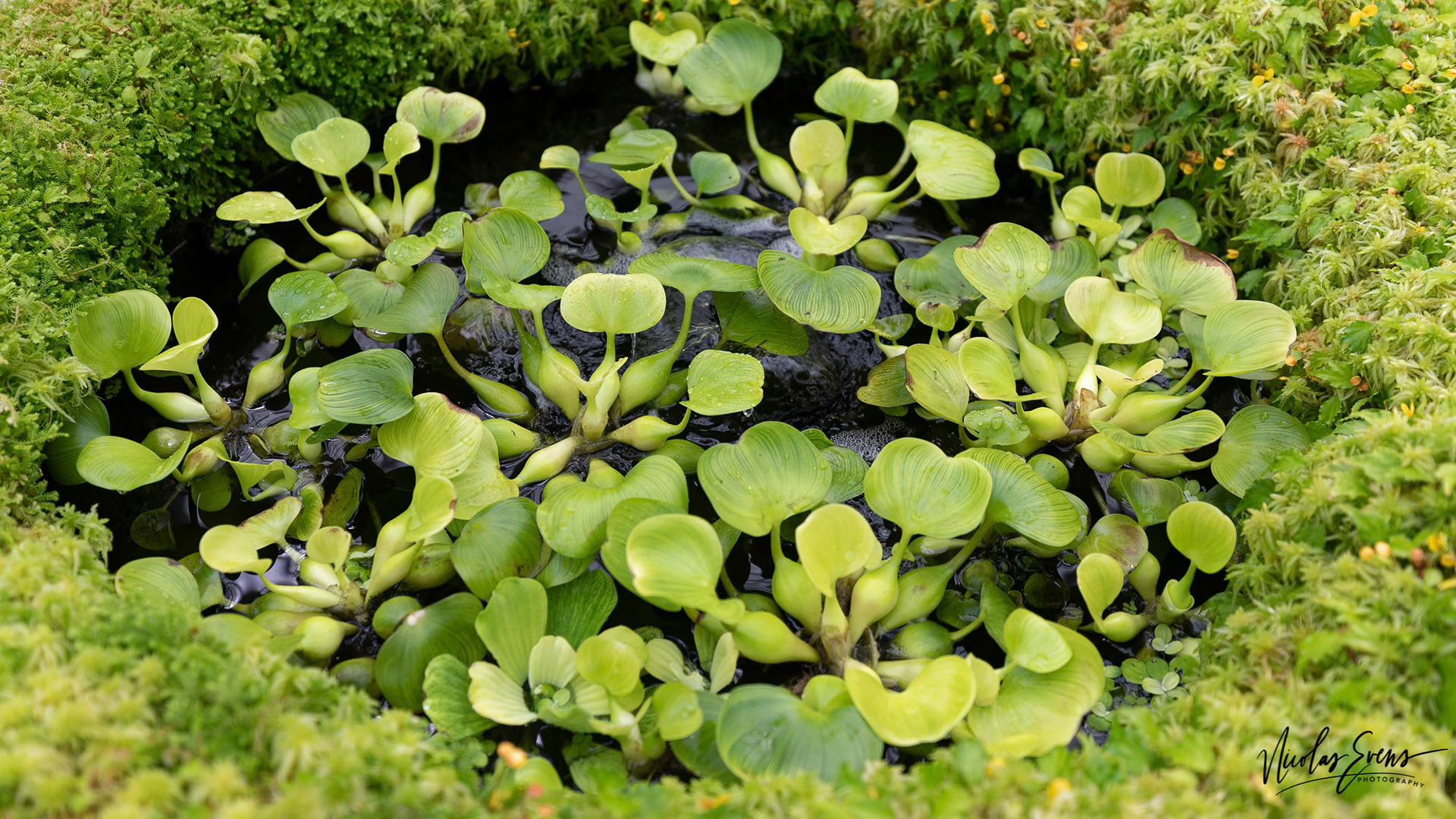 San Francisco, CA, US