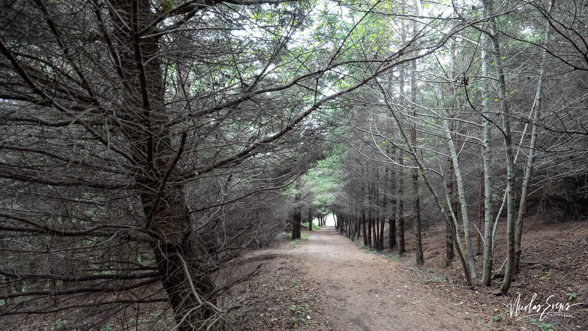 Point Reyes National Seashore, CA, US