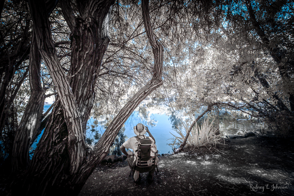 Man & Nature