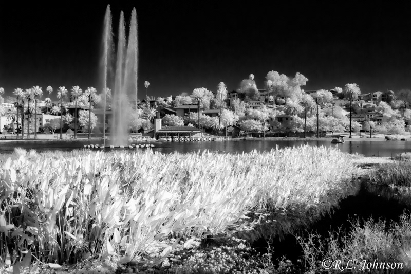 Echo park
