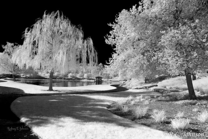 Black Pond