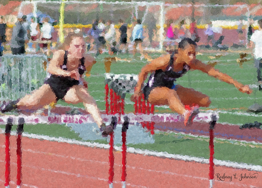 The Hurdles