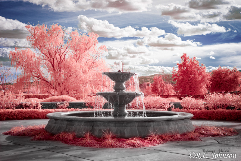Fountain in the Blush