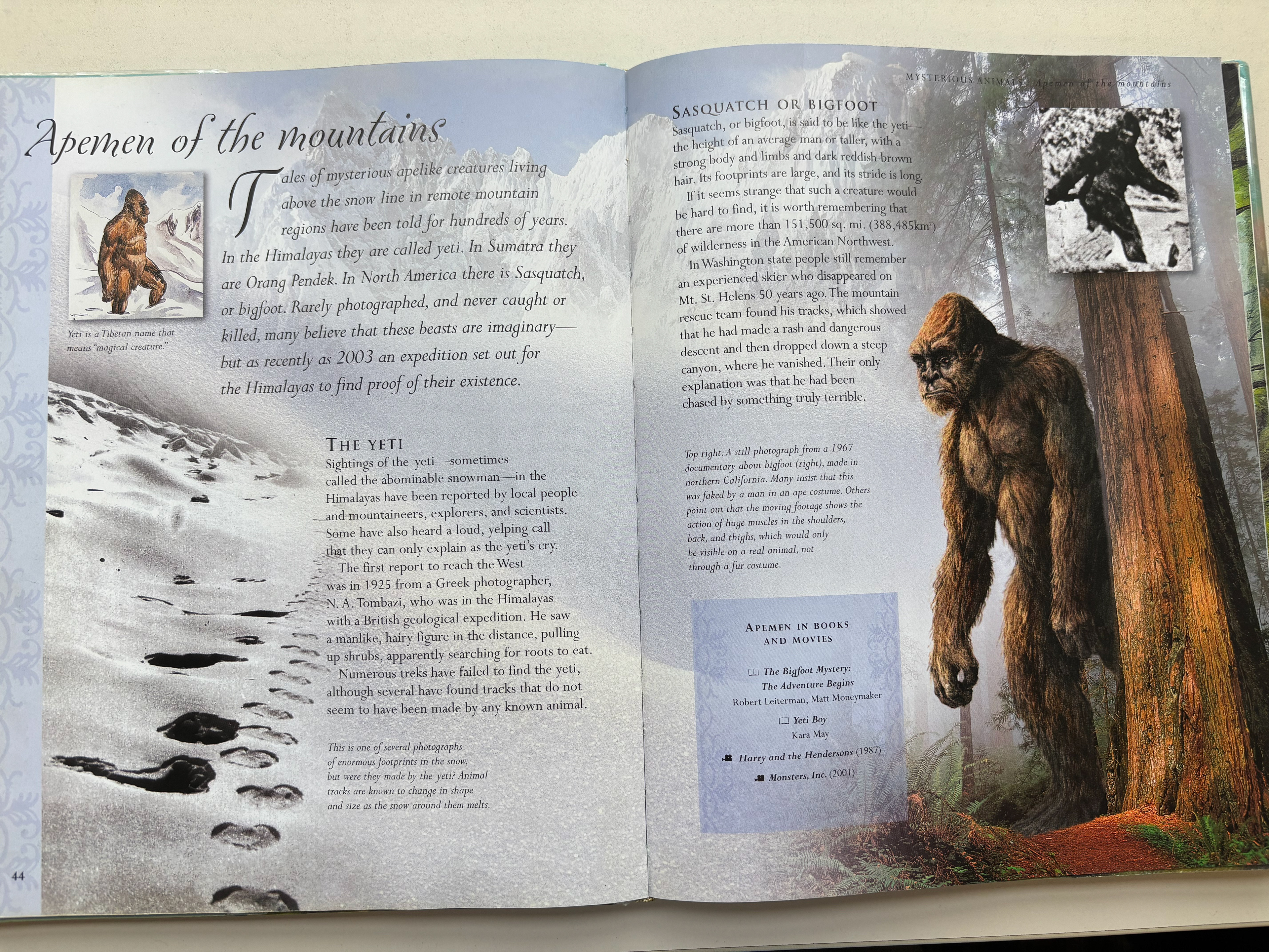 Full-Photo Layout Inspiration