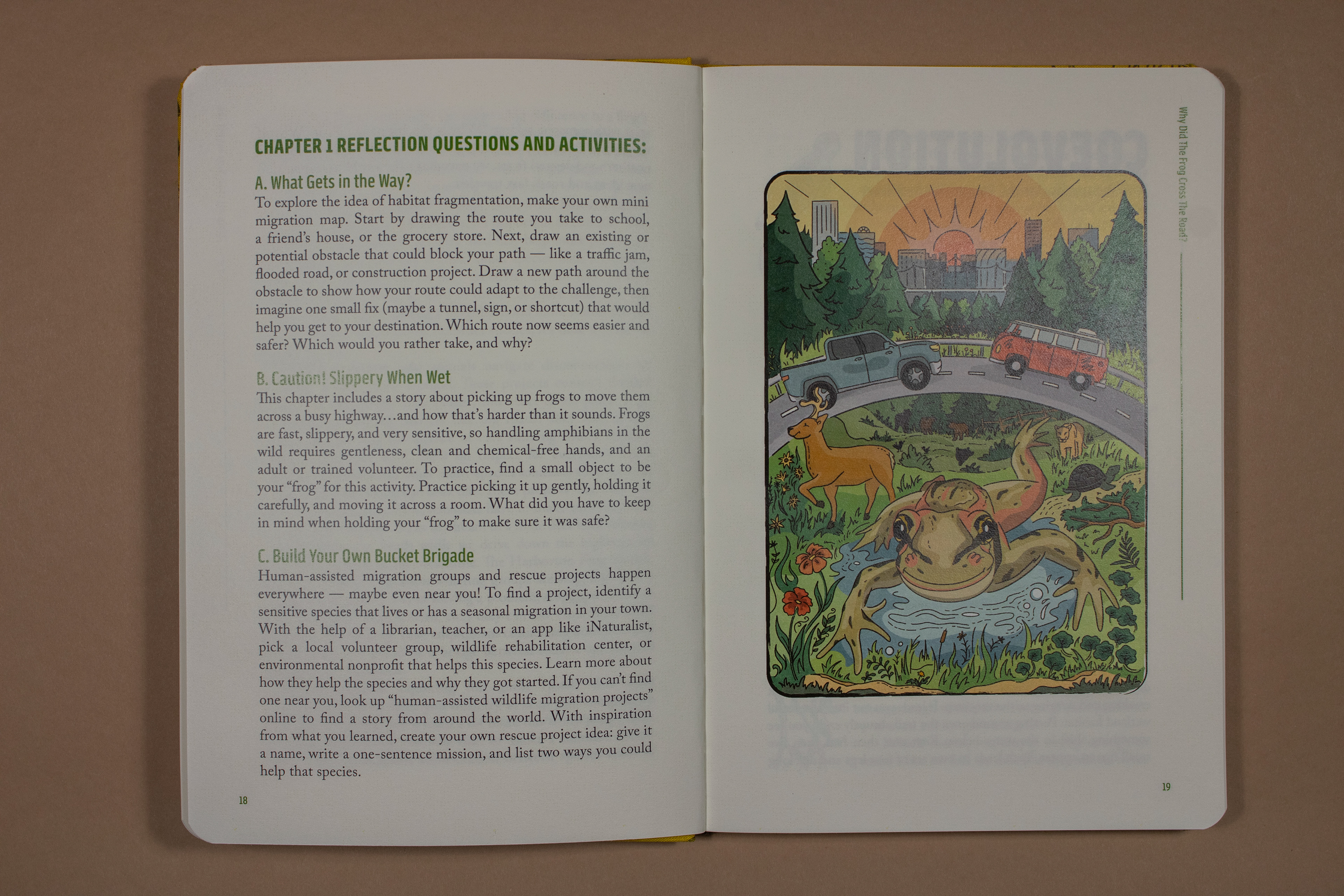 Reflection Questions Layout