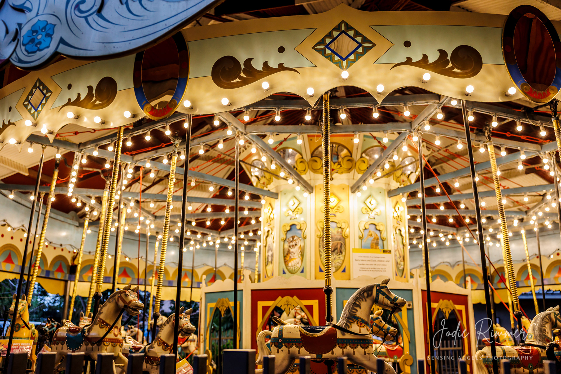 Perth Zoo - Lights Alive 2024