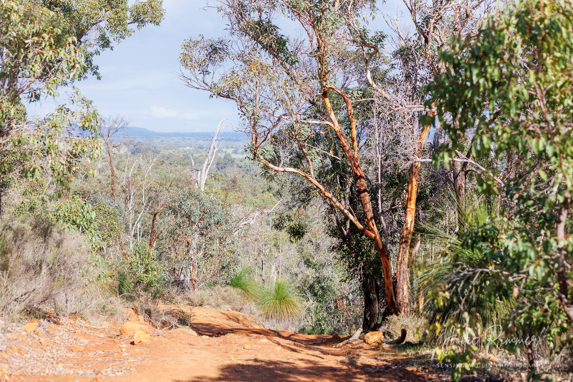 Byford Hills Trail - June 2025