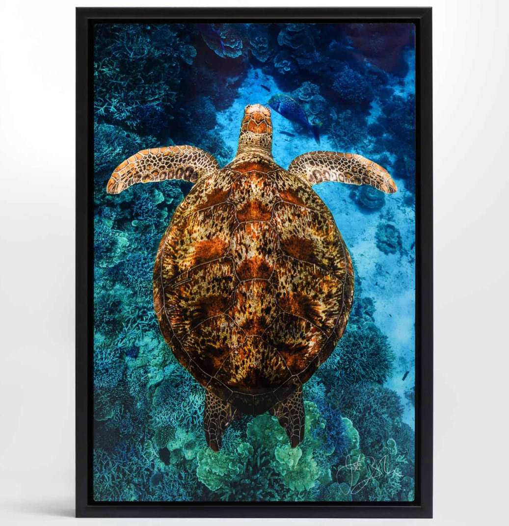 Close Up Black Boxed Metal Frame