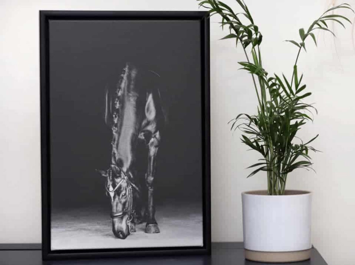 Black Box Frame