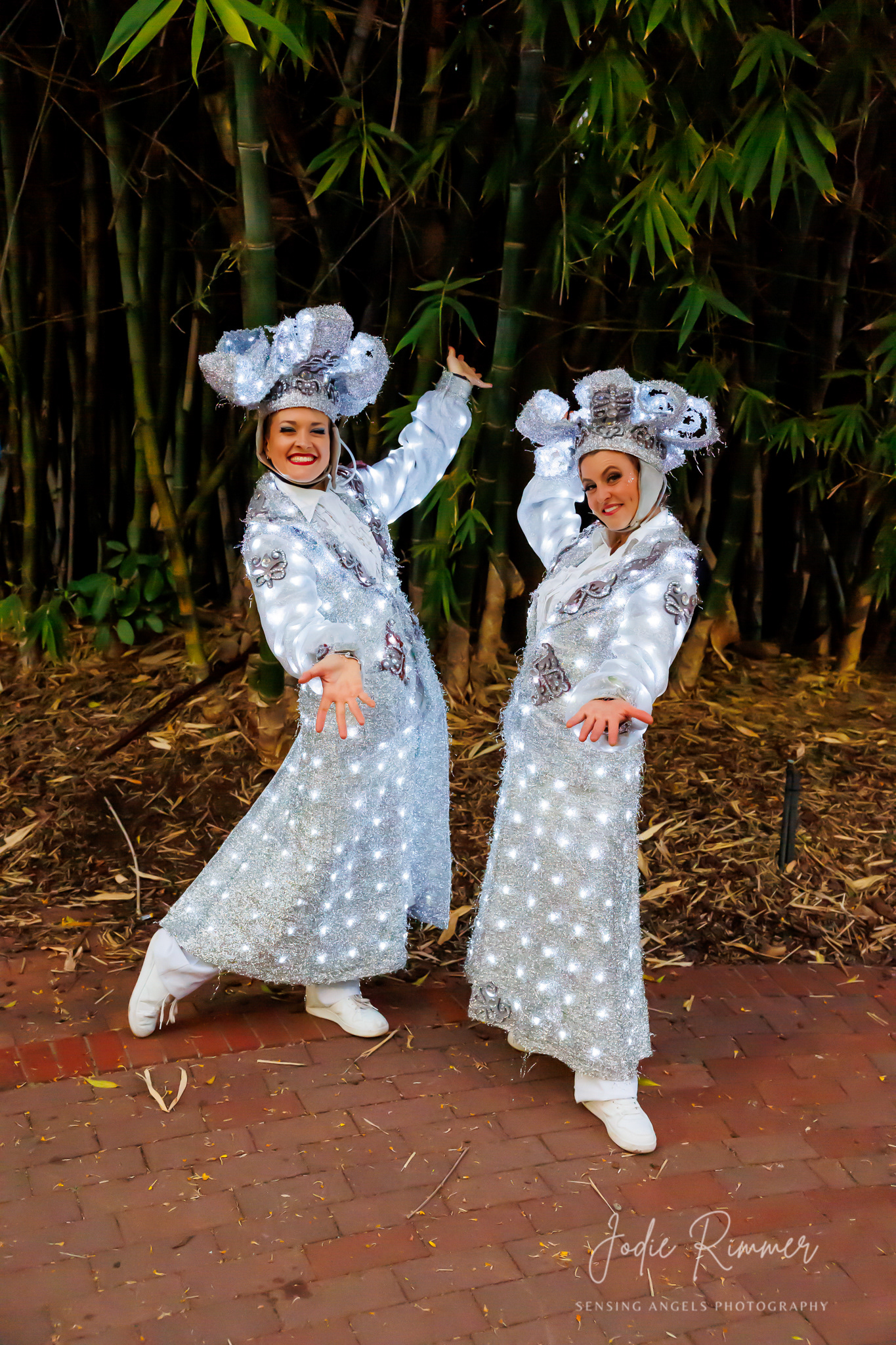 Perth Zoo - Lights Alive 2024