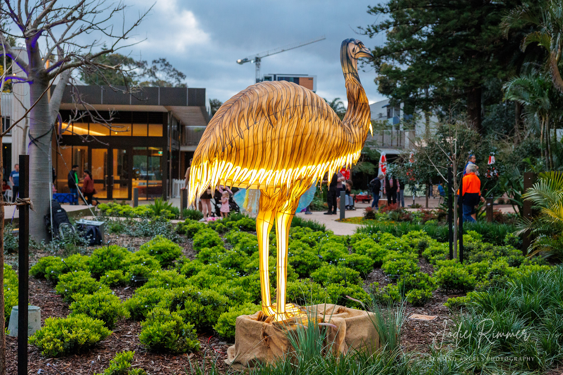 Perth Zoo - Lights Alive 2024