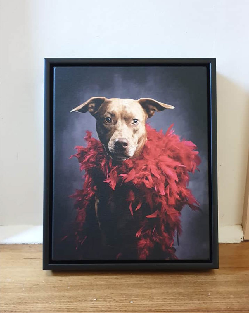 Black Box Frame