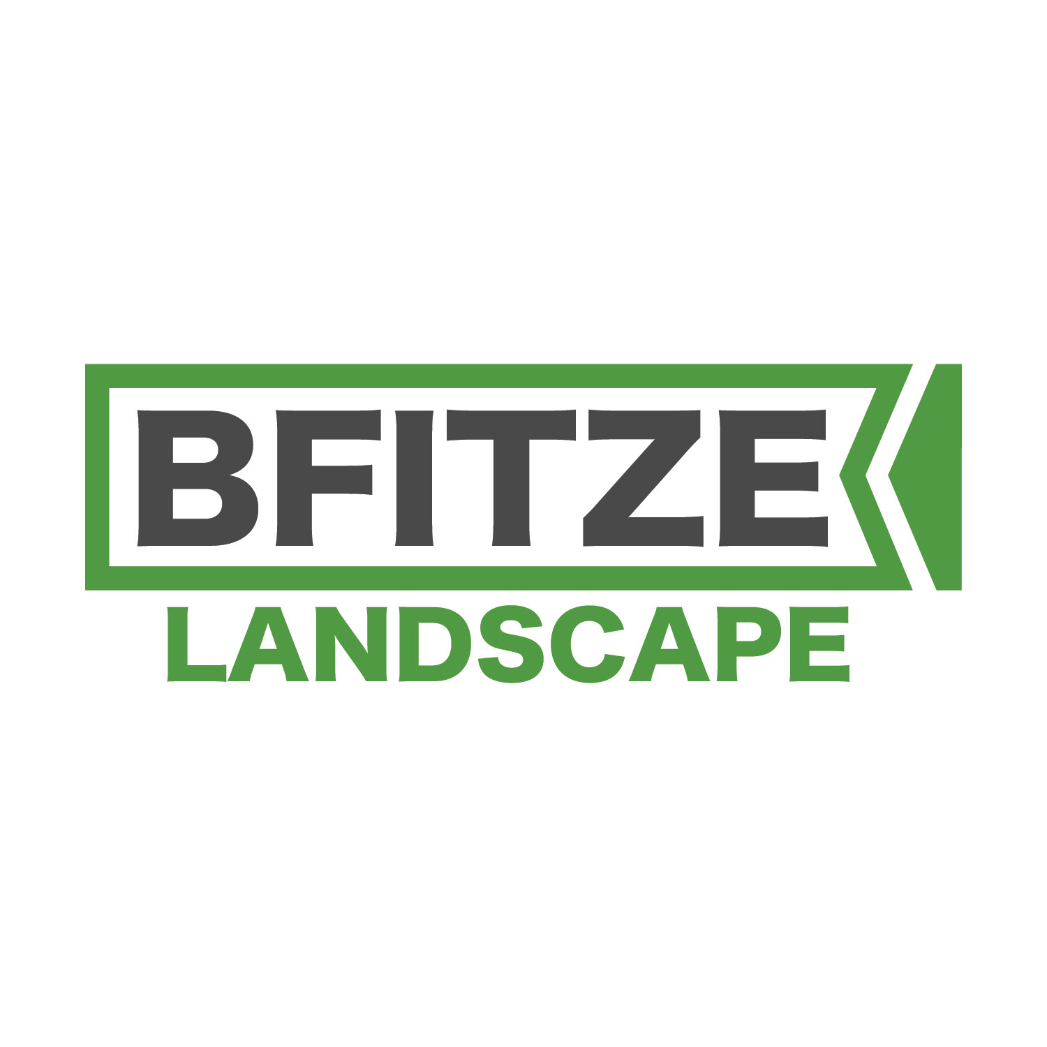BFITZE Logo