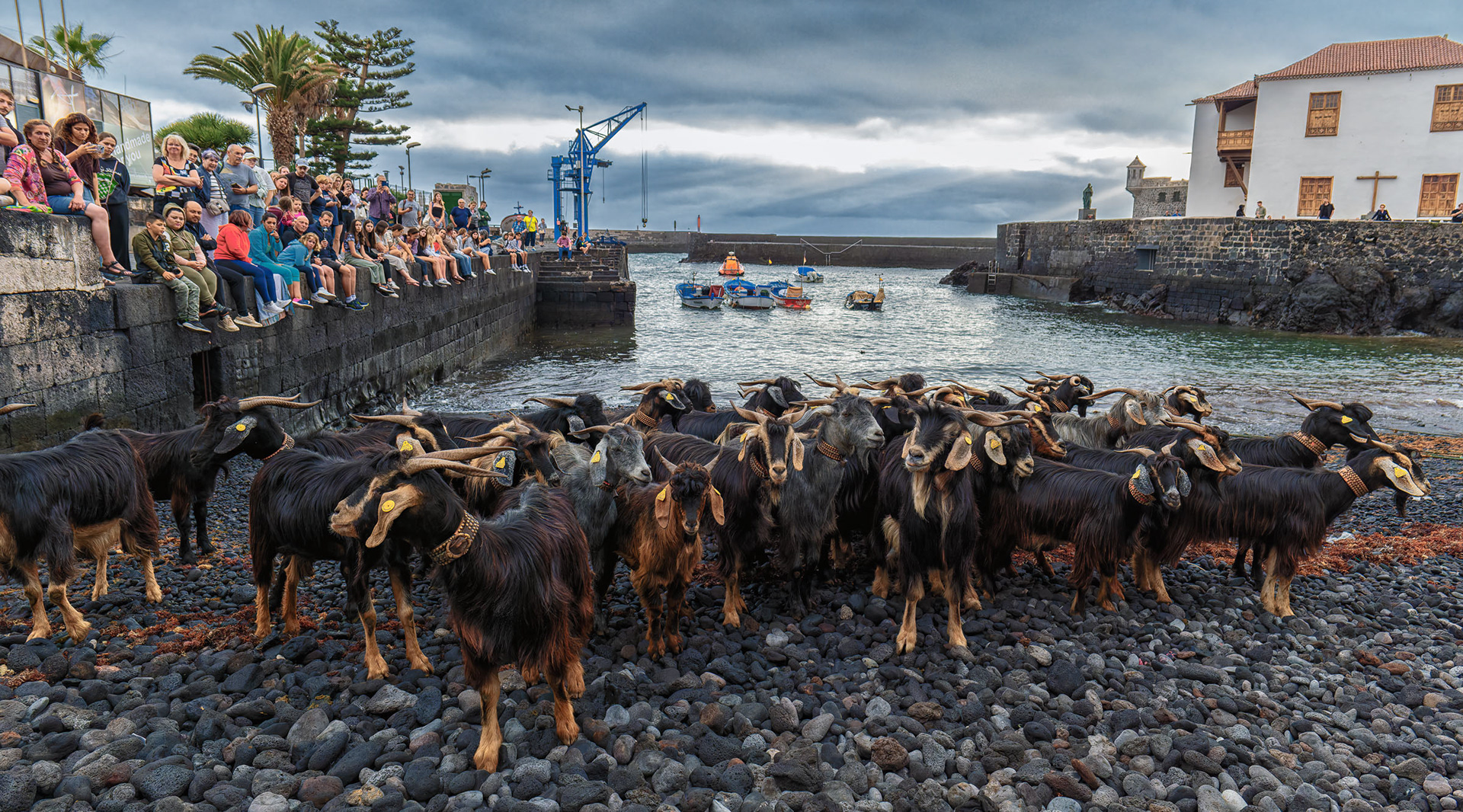 El baño de las cabras (2024)