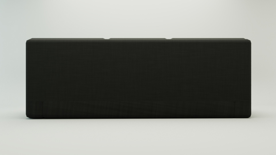 Back View