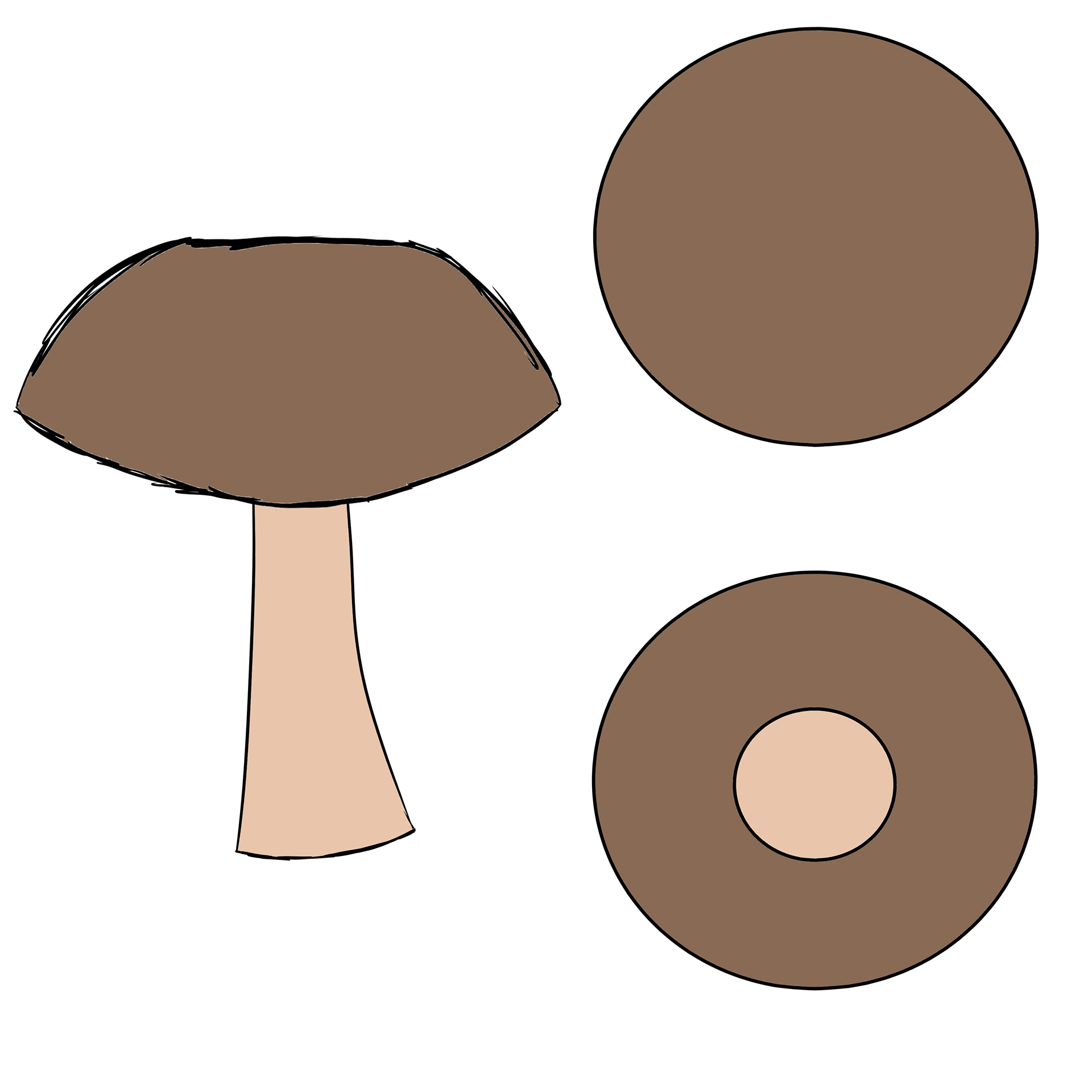 Concept Art Colored