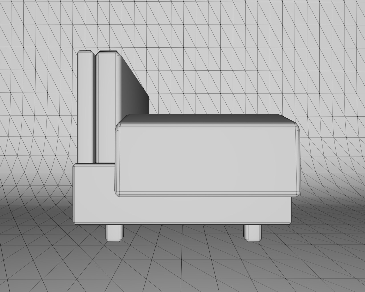 Left View