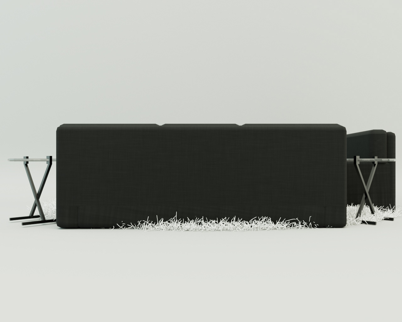 Back View