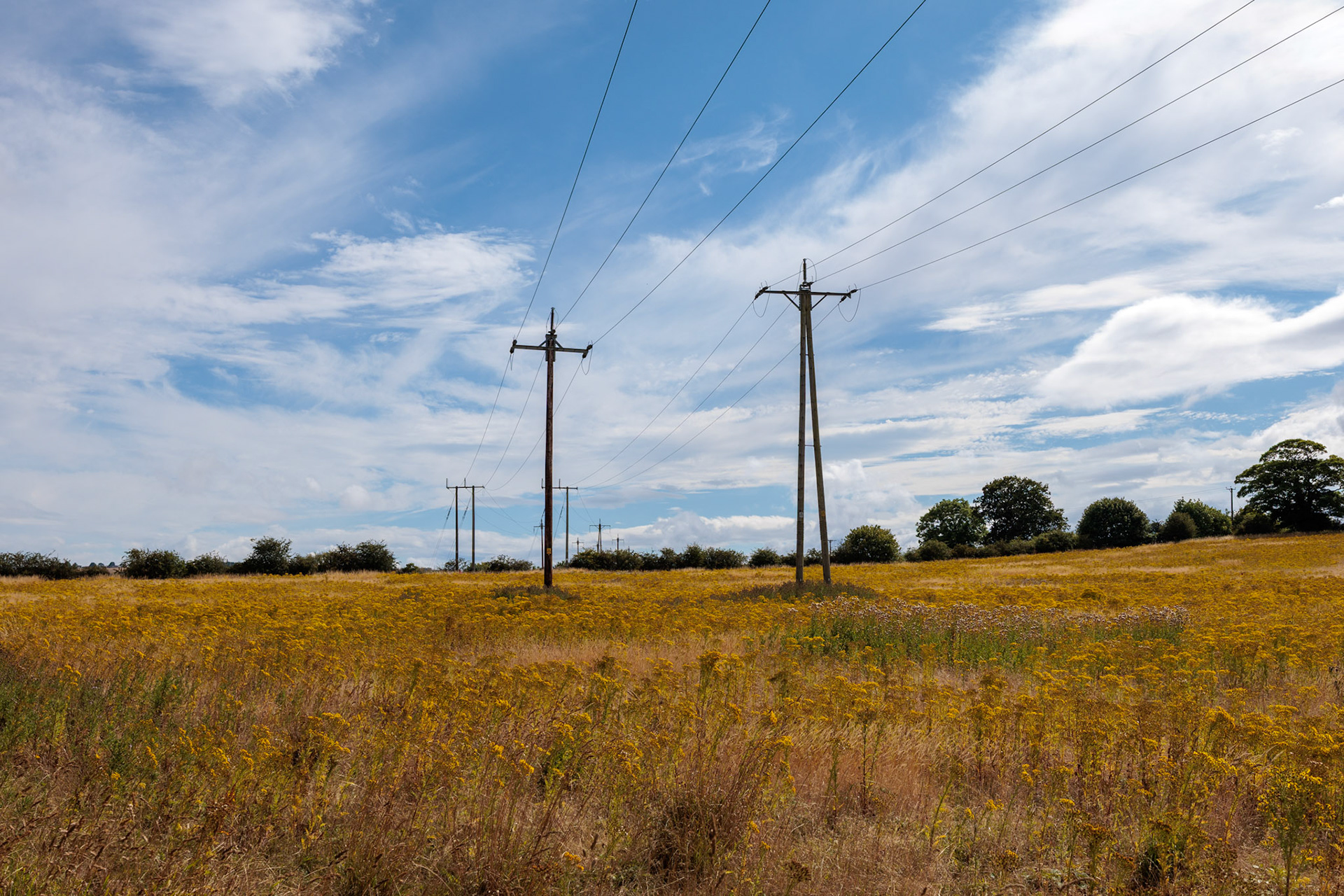 Pylons