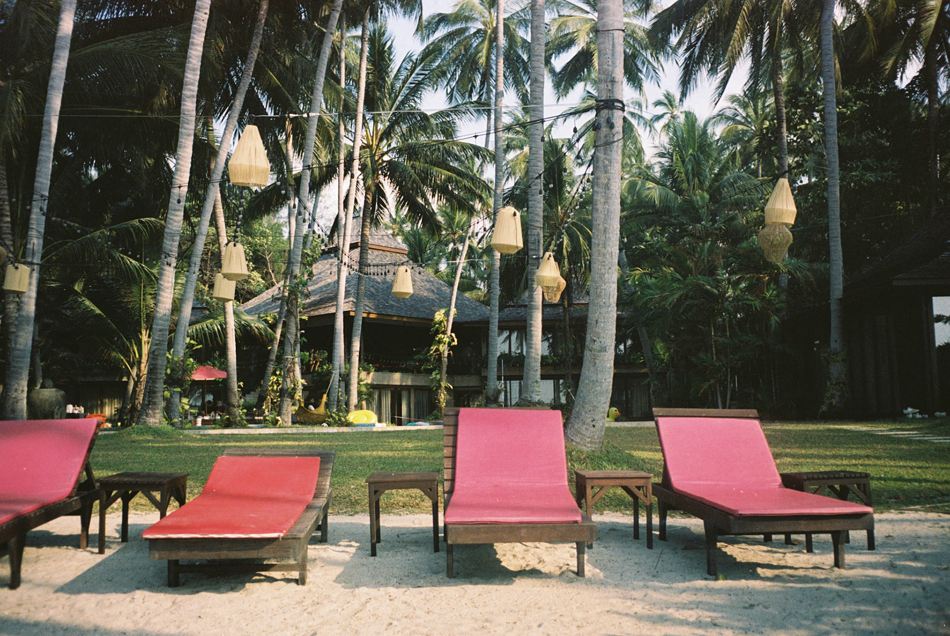 minolta x-700, portra 400