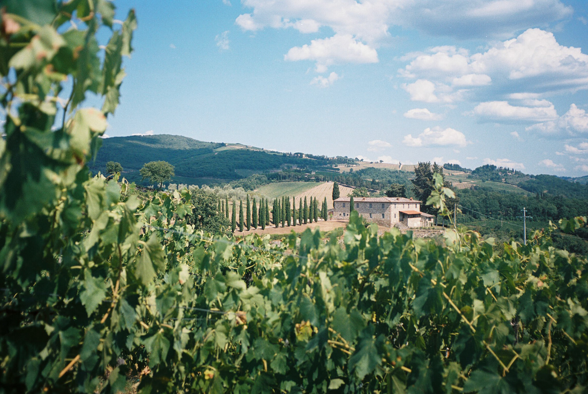 minolta x-700, portra 400