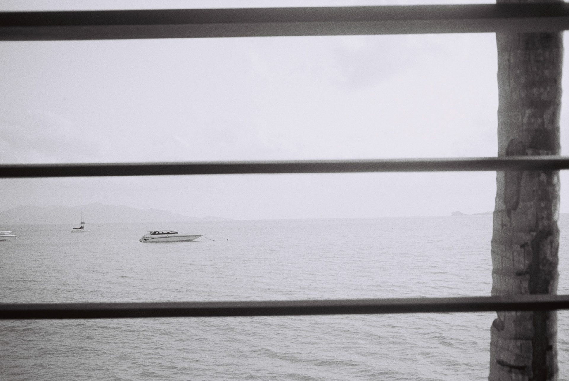 minolta x-700, kodak tri-x