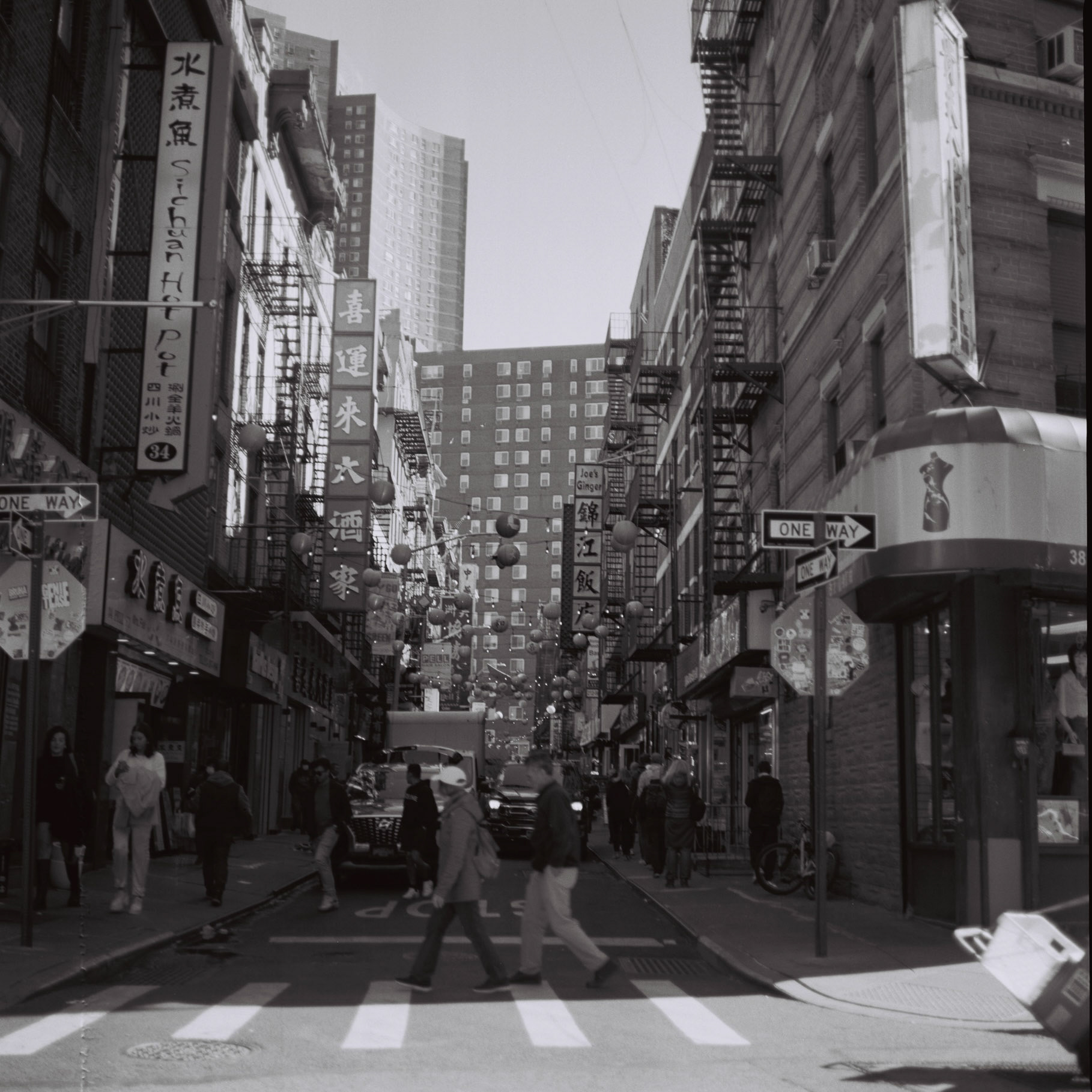 zenza bronica, medium format, kodak tri-x