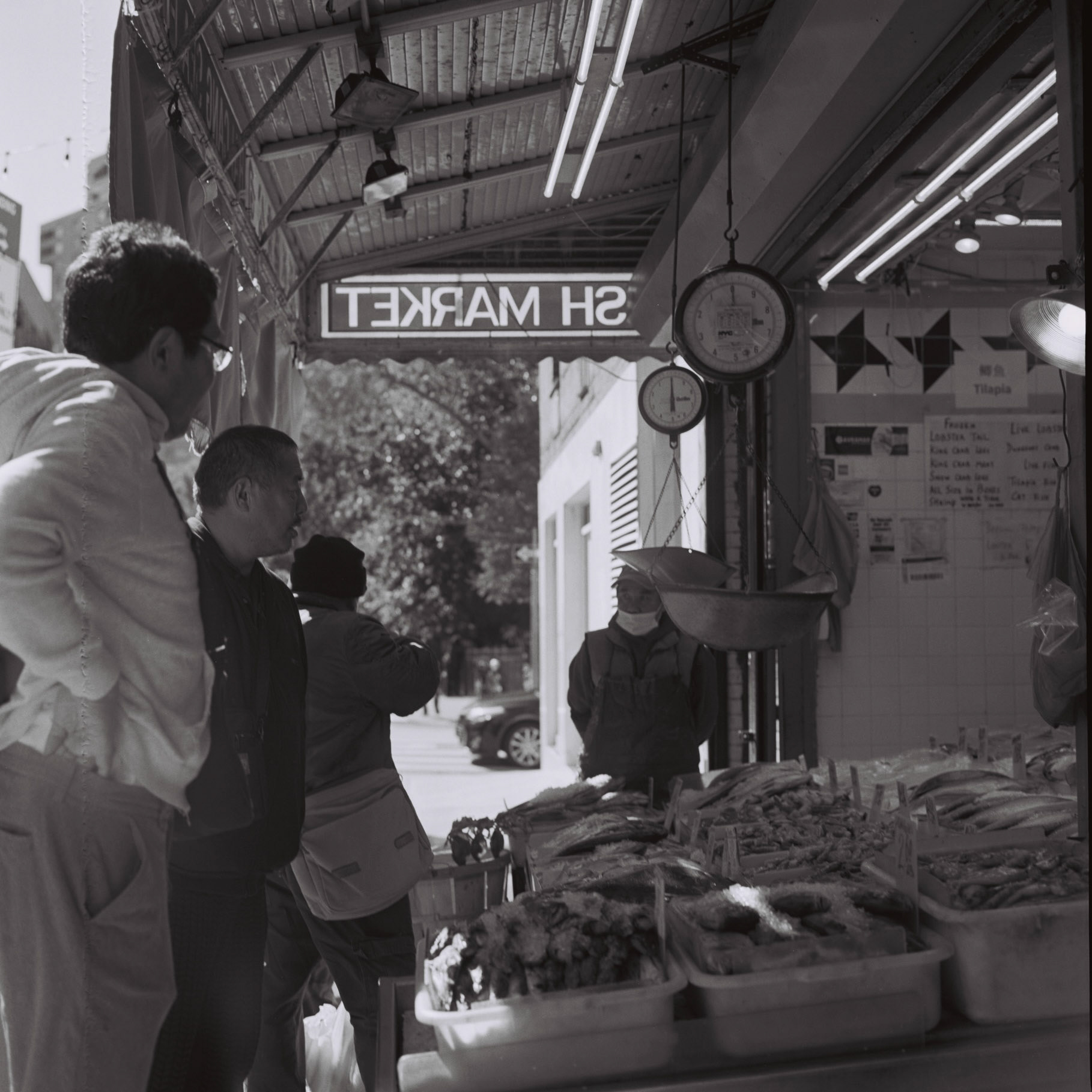 zenza bronica, medium format, kodak tri-x