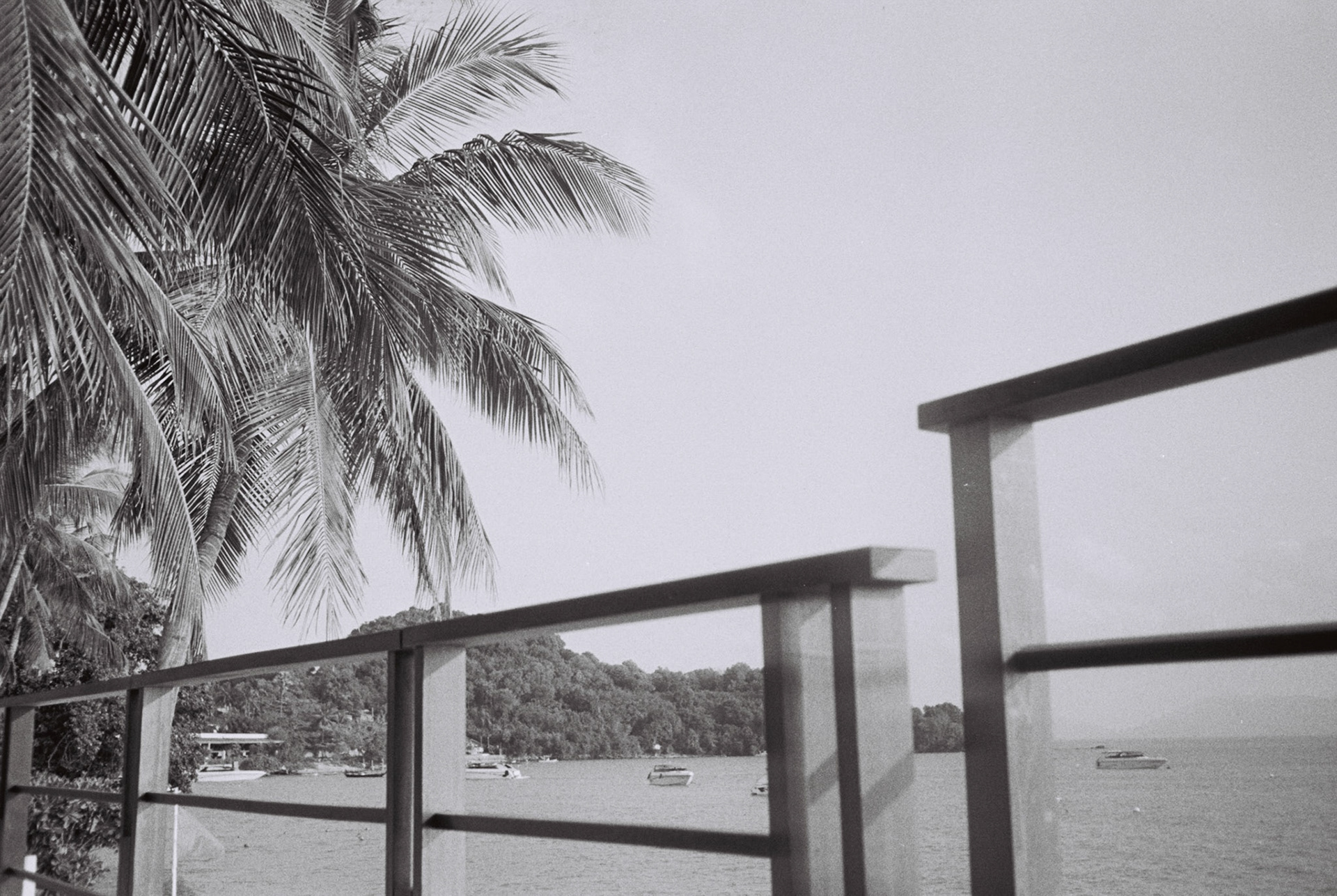 minolta x-700, kodak tri-x