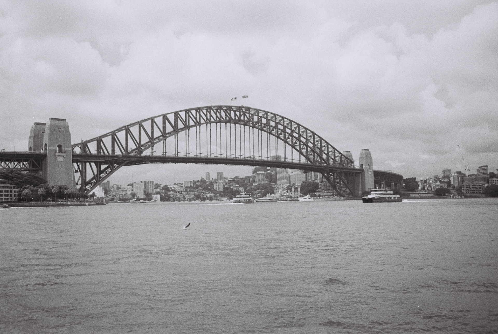 minolta x-700, kodak tri-x